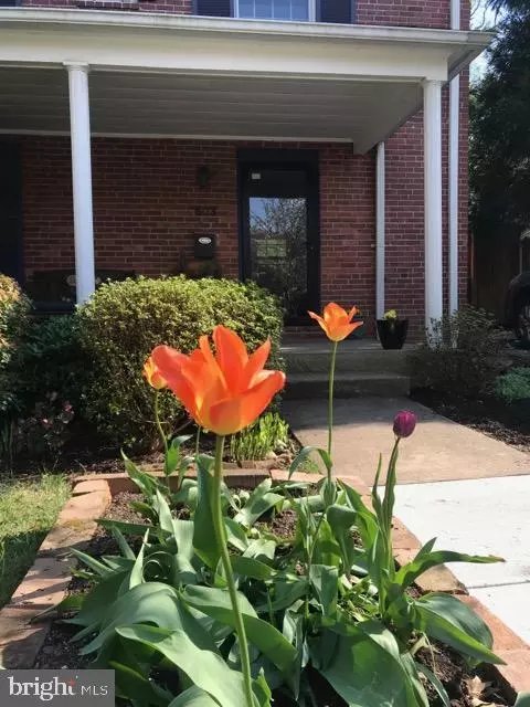 Other - 503 Wingate Rd, Baltimore, MD 21210 photo 1 of 14