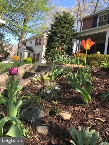 Other - 503 Wingate Rd, Baltimore, MD 21210 photo 13 of 14