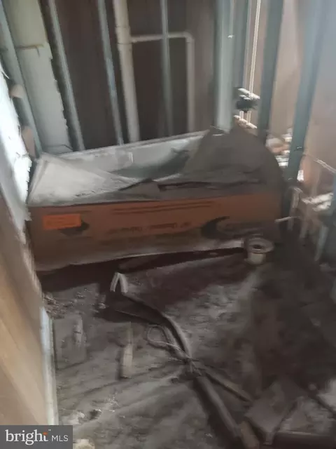 1008 E Biddle St, Baltimore, MD 21202 photo 4
