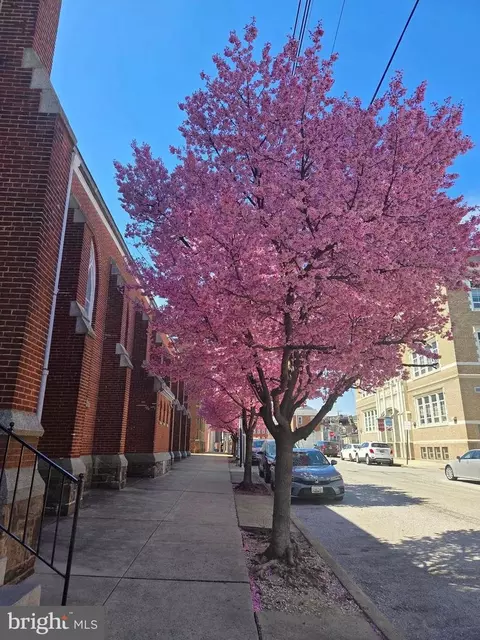 Other - 1261 Riverside Ave, Baltimore, MD 21230 photo 21 of 23