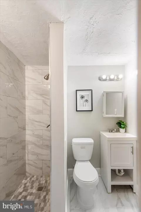 Bath - 732 Whitmore Ave, Baltimore, MD 21216 photo 3 of 3