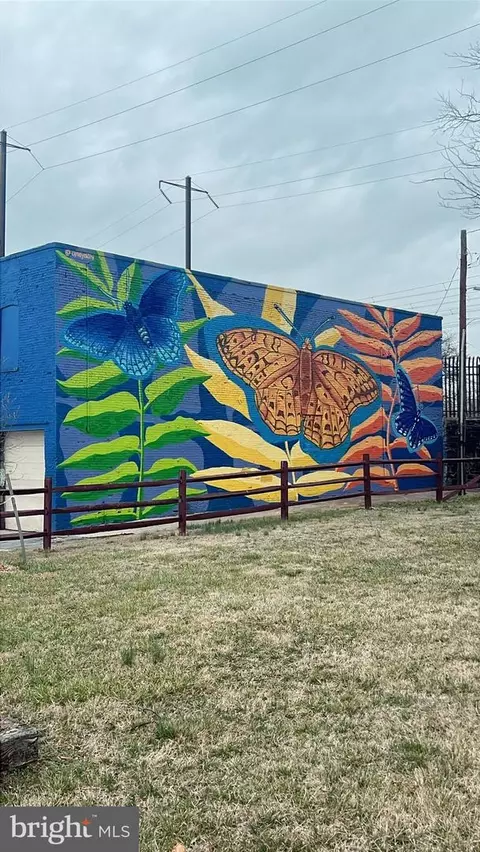 800 N Milton Ave, Baltimore, MD 21205 photo 16