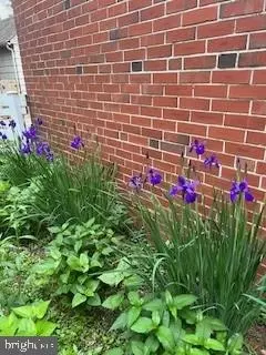 Other - 331 Broxton Rd, Baltimore, MD 21212 photo 18 of 19