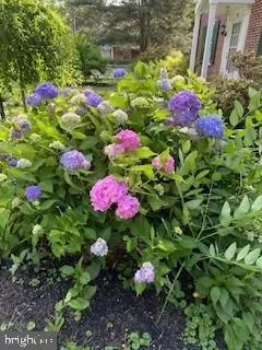 Other - 331 Broxton Rd, Baltimore, MD 21212 photo 6 of 19