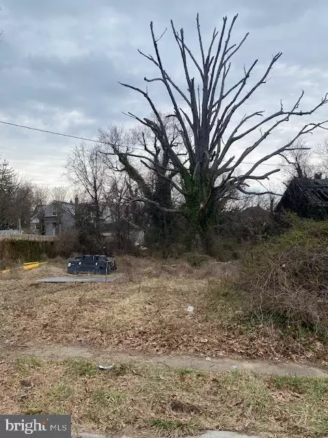 2806 Grindon Ave, Baltimore, MD 21214 photo 9