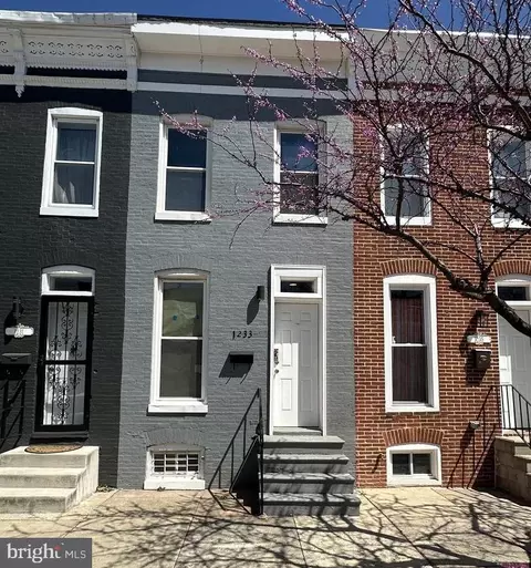 1233 Bayard St, Baltimore, MD 21230 photo 1