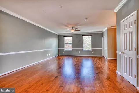 Living - 24 S Exeter St, Baltimore, MD 21202 photo 3 of 3
