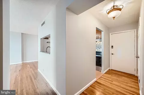 Entry Way - 1101 Saint Paul St #2002, Baltimore, MD 21202 photo 3 of 4