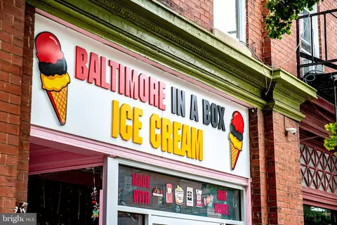1320 Union Ave, Baltimore, MD 21211 photo 38