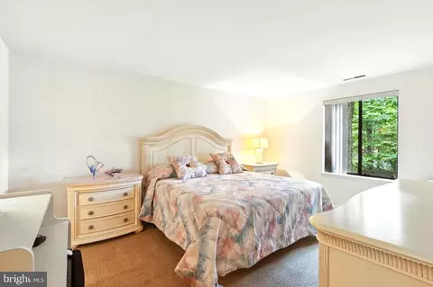 6350 Red Cedar Pl #210, Baltimore, MD 21209 photo 21