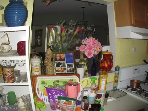 Other - 811 George St, Baltimore, MD 21201 photo 3 of 11