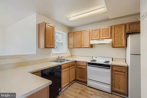 843 E Jeffrey St, Baltimore, MD 21225 photo 5