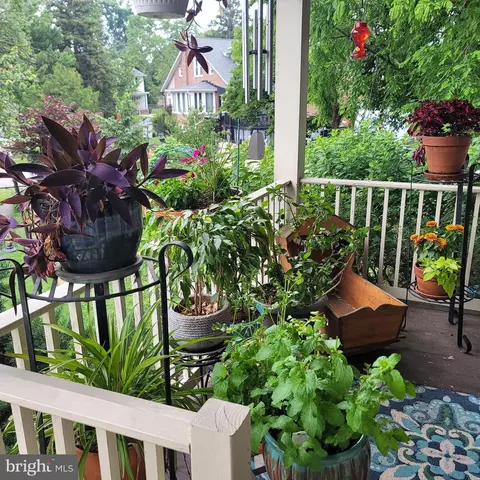 3122 Grindon Ave, Baltimore, MD 21214 photo 8
