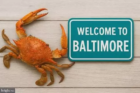 302 Pulaski St, Baltimore, MD 21223 photo 20