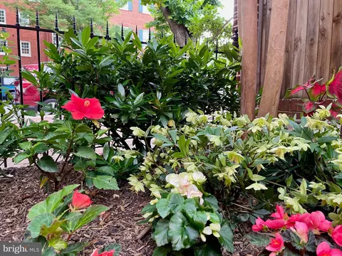 Exterior - 132 W Lee St, Baltimore, MD 21201 photo 2 of 5