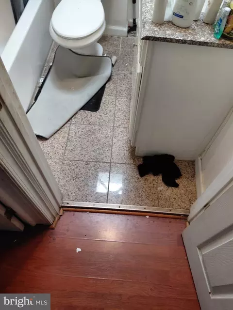 Entry Way - 1626 Cliftview Ave, Baltimore, MD 21213 photo 2 of 4