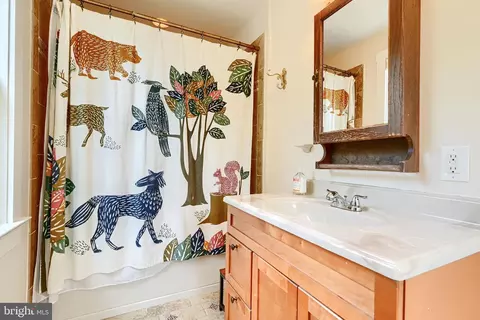 Bath - 1330 Morling Ave W, Baltimore, MD 21211 photo 6 of 8