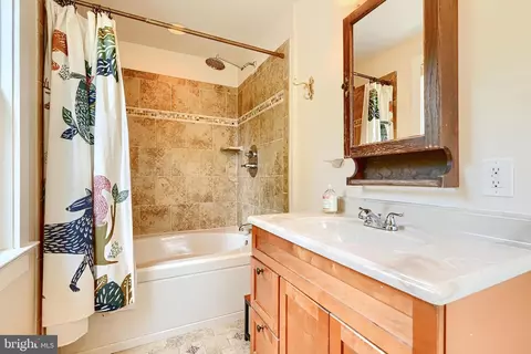 Bath - 1330 Morling Ave W, Baltimore, MD 21211 photo 7 of 8