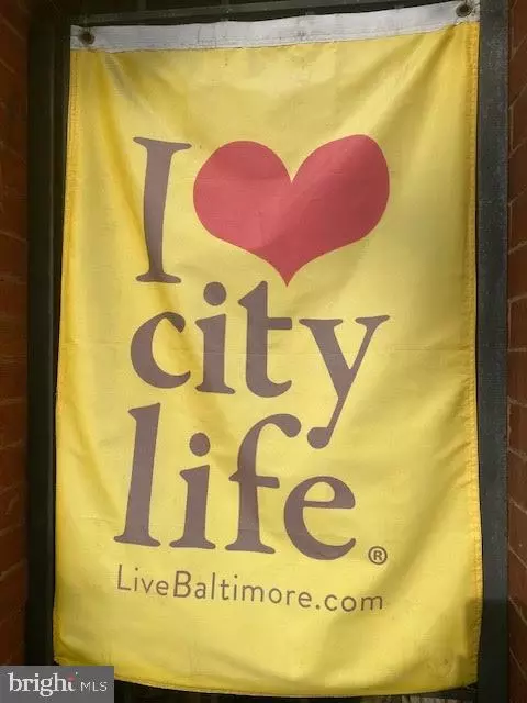 Other - 1141 Riverside Ave, Baltimore, MD 21230 photo 11 of 11