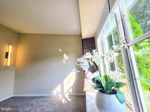 Other - 4524 Saint Thomas Ave, Baltimore, MD 21206 photo 3 of 10
