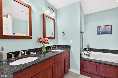 Bath - 100 Harborview Dr #611, Baltimore, MD 21230 photo 2 of 3