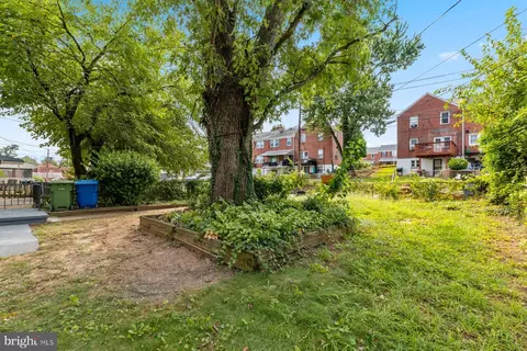 Exterior - 810 Wedgewood Rd, Baltimore, MD 21229 photo 4 of 6