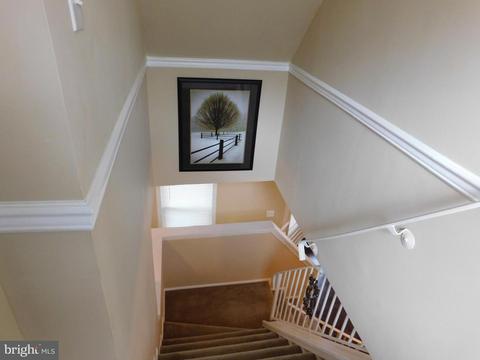 907 E 43rd St, Baltimore, MD 21212 photo 16