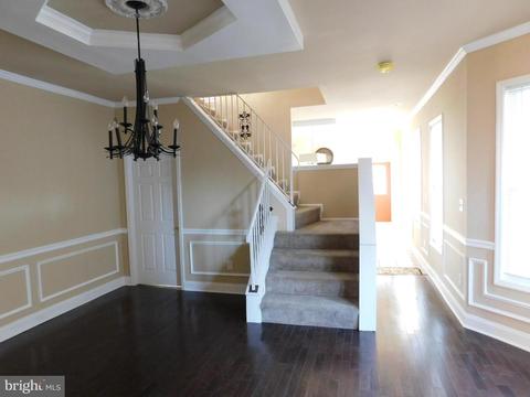 907 E 43rd St, Baltimore, MD 21212 photo 29