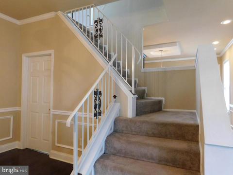 907 E 43rd St, Baltimore, MD 21212 photo 15