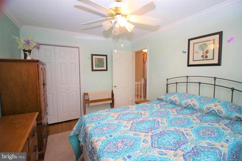 4250 Elsa Ter, Baltimore, MD 21211 photo 11