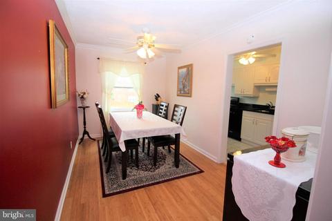 4250 Elsa Ter, Baltimore, MD 21211 photo 9