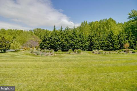 6420 Catalpa Rd, Fork, MD 21051 photo 62