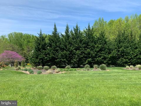 6420 Catalpa Rd, Fork, MD 21051 photo 66