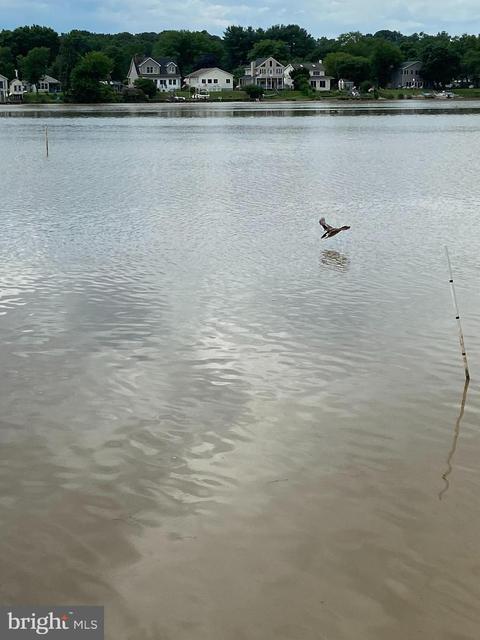 11306 Beach Rd, White Marsh, MD 21162 photo 26