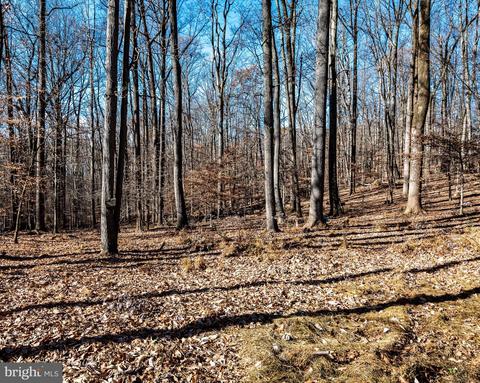12848 Stone Eagle Rd, Phoenix, MD 21131 photo 5