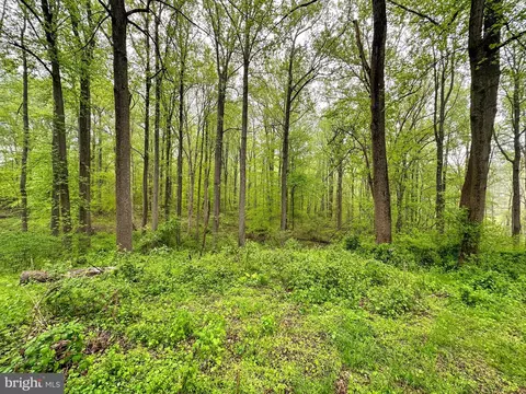 Carroll Mill Road, Phoenix, MD 21131 photo 13