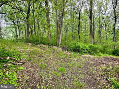 Carroll Mill Road, Phoenix, MD 21131 photo 7