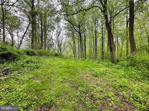 Carroll Mill Road, Phoenix, MD 21131 photo 9