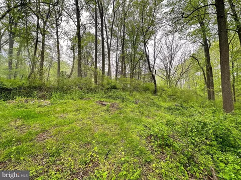 Carroll Mill Road, Phoenix, MD 21131 photo 11