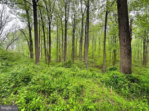 Carroll Mill Road, Phoenix, MD 21131 photo 10