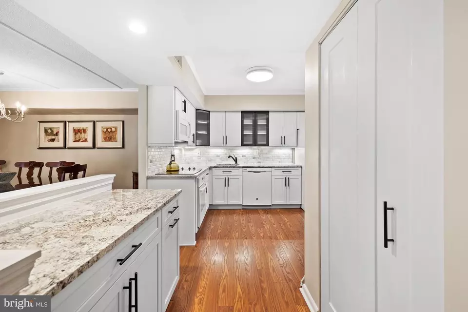  221 Deer Fox Ln, Lutherville Timonium, MD 21093 photo 13