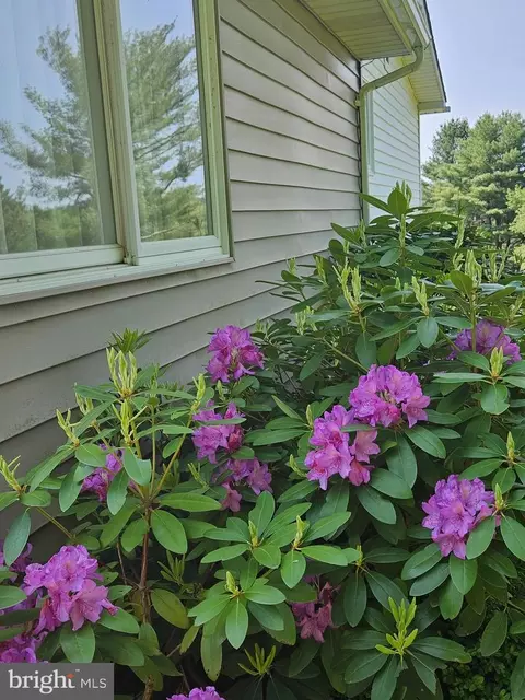 3014 Benson Mill Rd, Upperco, MD 21155 photo 12