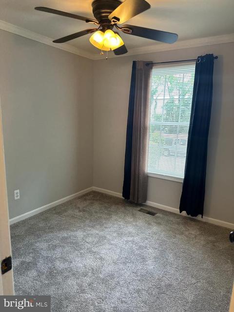 3448 Christopher Ct, Windsor Mill, MD 21244 photo 13