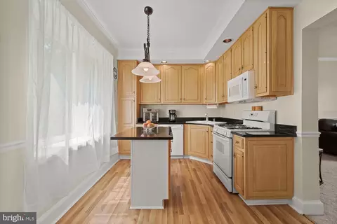 3 Willow Ave, Baltimore, MD 21206 photo 7