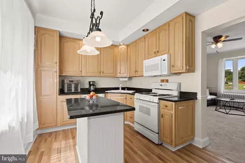 3 Willow Ave, Baltimore, MD 21206 photo 6