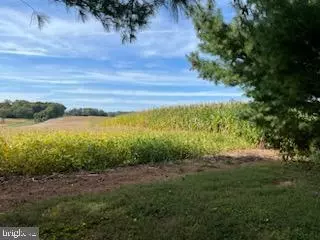 18301 Brick Store Rd, Hampstead, MD 21074 photo 15
