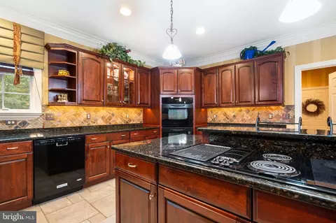 7 Celtis Ct, Fork, MD 21051 photo 21