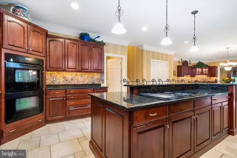 7 Celtis Ct, Fork, MD 21051 photo 20