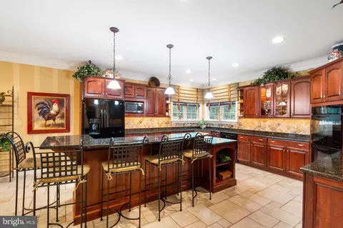 7 Celtis Ct, Fork, MD 21051 photo 22