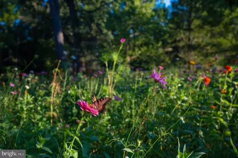 Butler Rd #lot B, Reisterstown, MD 21136